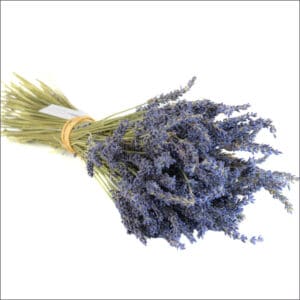 Bouquet fleur de Lavandin